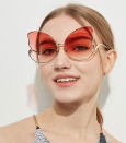 Teenage Girl Sunglasses